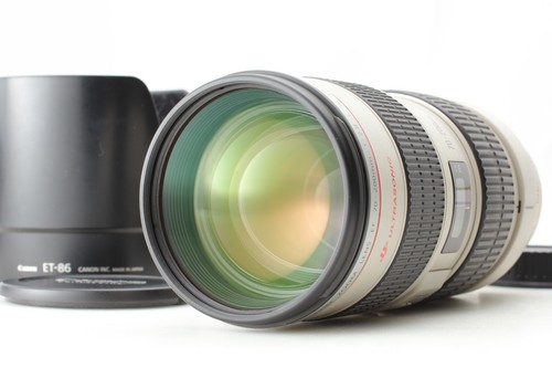 Teleobiettivo zoom canon - teleobiettivo,