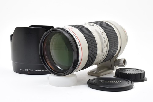 Canon 200mm 8 l usm - canon,