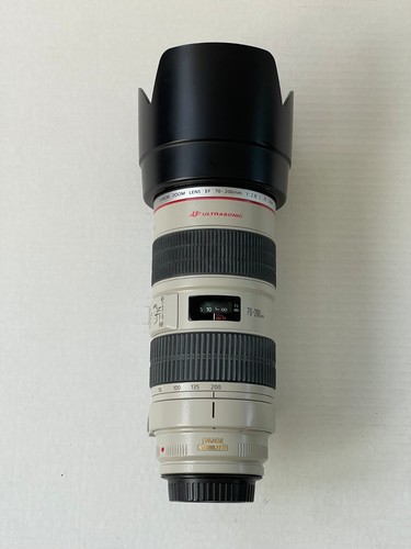 Obiettivo canon 200 8 l - canon,